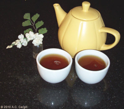 Tea – it just tastes great! (Photo by A.C. Cargill, all rights reserved)