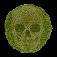 Satisfy those ghouls at tea time with this pea soup green matcha! (ETS image)